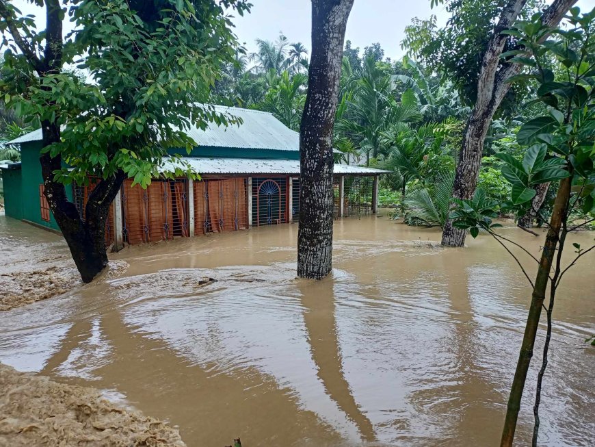 শেরপুরে পাহাড়ি ঢলে প্লাবিত কয়েক হাজার পরিবার