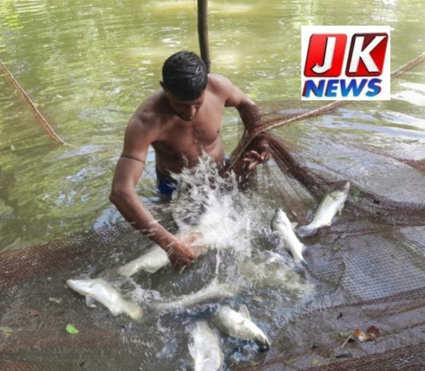 চরফ্যাশনে পুকুরে চাষ করে স্বাবলম্বী 'নদীর কোরাল'