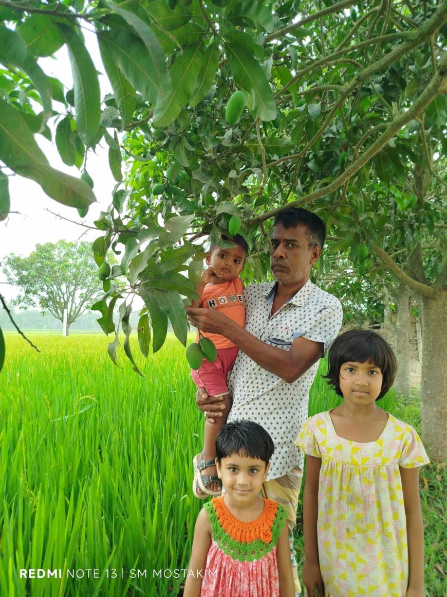 জিআই পণ্যের নিবন্ধন পেলো বদলগাছীর নাক ফজলি আম