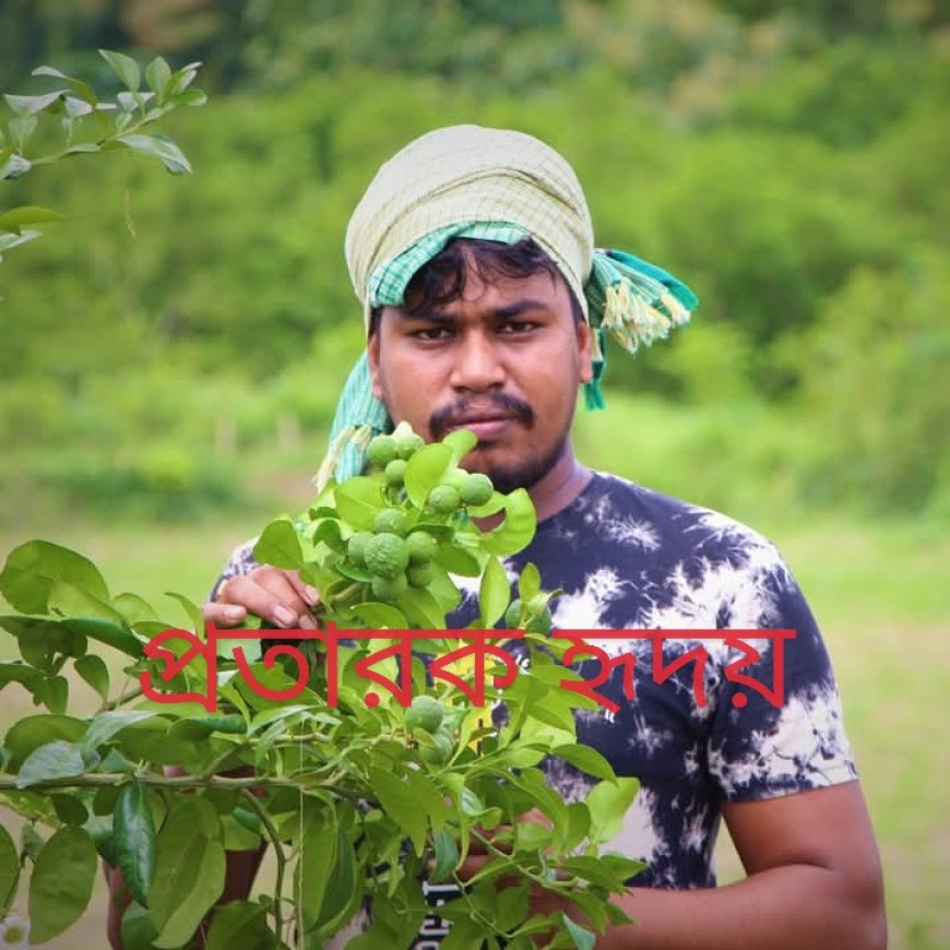 মোল্লা নার্সারির হৃদয় মোল্লার অভিনব প্রতারণা। পার্ট-১