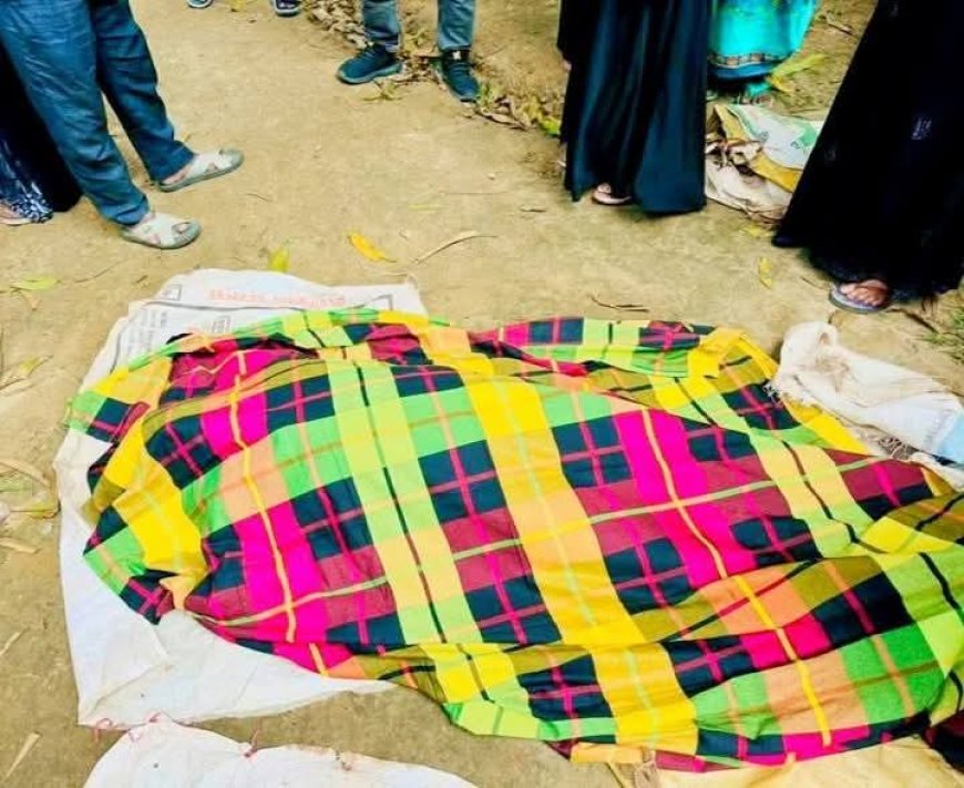 উল্লাপাড়ায় হোটেল কর্মচারী নিহত