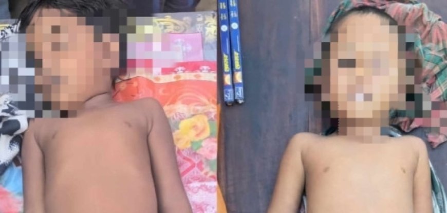 পানিতে ডুবে চাচাতো ভাই বোনের মৃত্যু