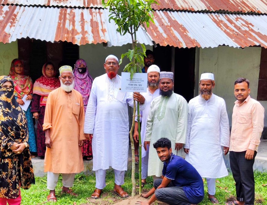 বদলগাছীতে জলবায়ু পরিবর্তন সচেতনতা কর্মসূচি'র আওতায় বৃক্ষ রোপন