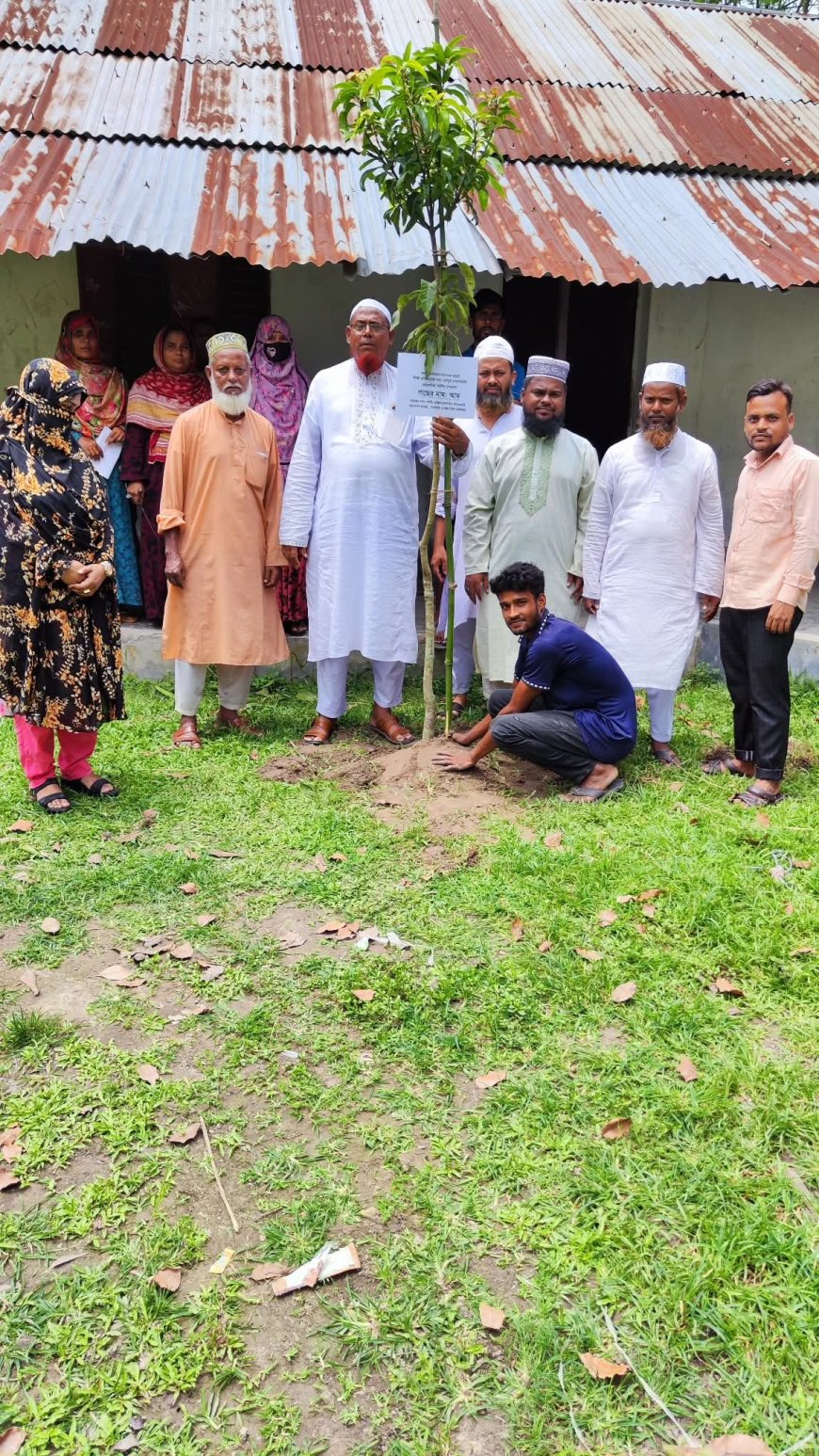 বদলগাছীতে জলবায়ু পরিবর্তন সচেতনতা কর্মসূচি'র আওতায় বৃক্ষ রোপন