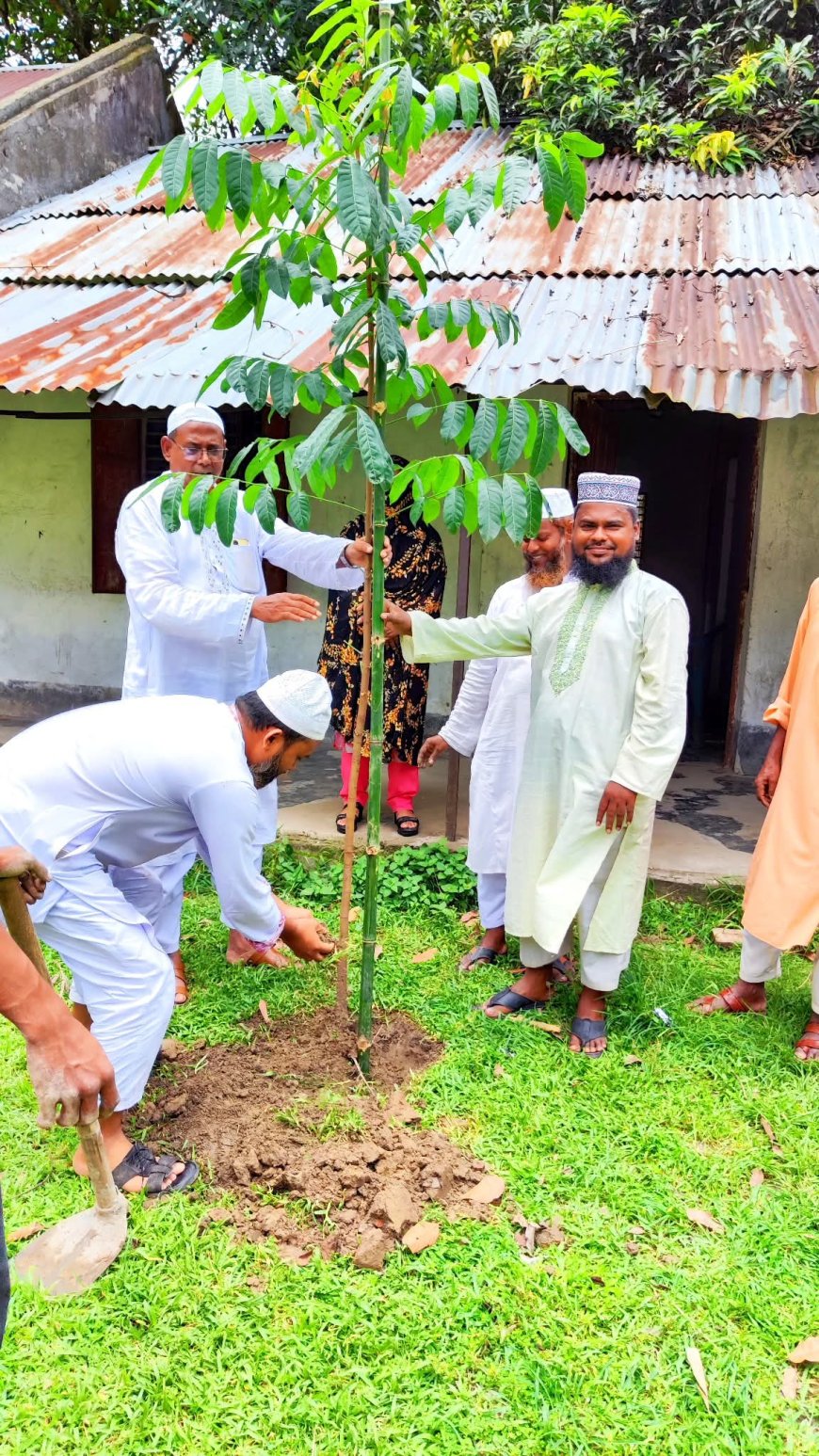 বদলগাছীতে জলবায়ু পরিবর্তন সচেতনতা কর্মসূচি'র আওতায় বৃক্ষ রোপন
